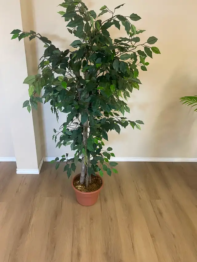 Artificial silk plants for sale like new