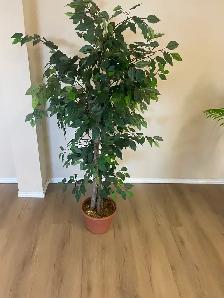 Artificial silk plants for sale like new