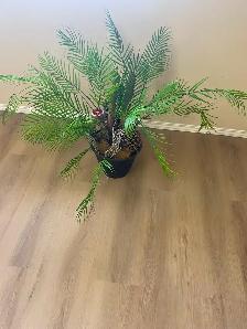 Artificial silk plants for sale like new - Photo 3