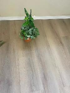 Artificial silk plants for sale like new - Photo 4