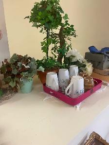 Artificial silk plants for sale like new - Photo 6
