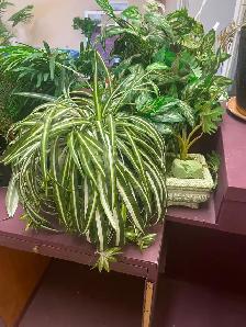 Artificial silk plants for sale like new - Photo 8