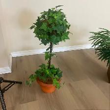 Artificial silk plants for sale like new - Photo 10