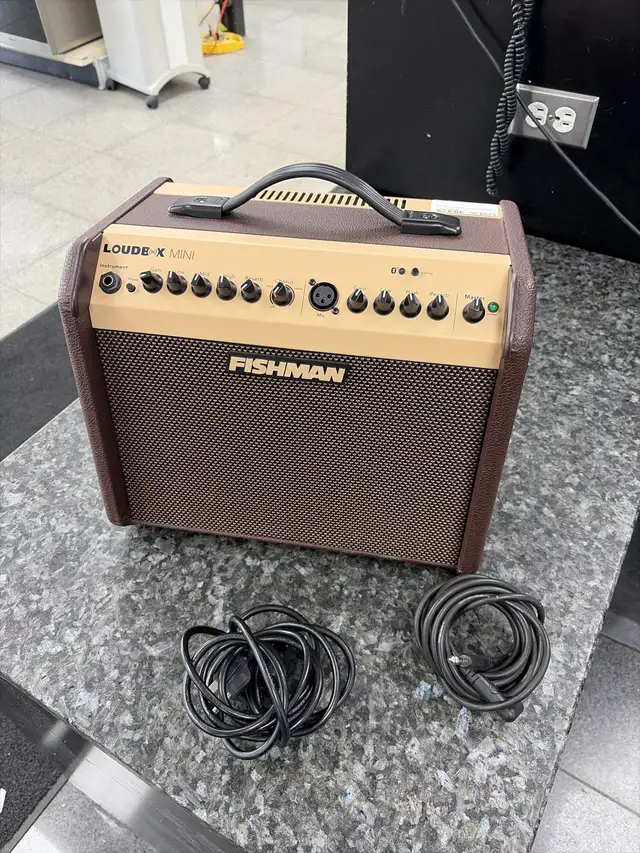 Fishman Loudbox Mini