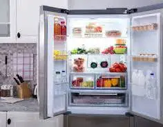 Fridge repairs