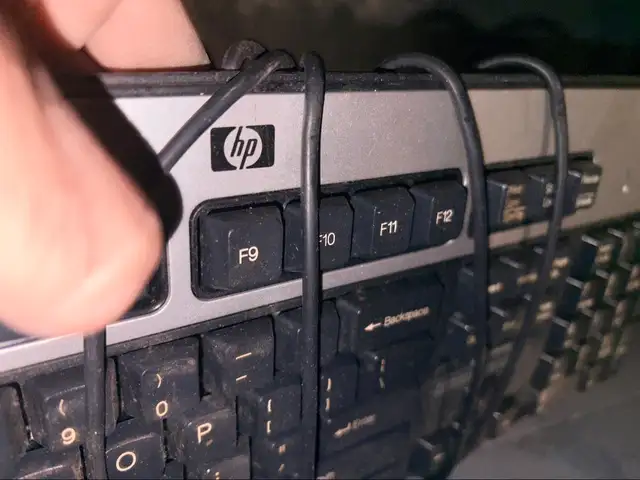 HP KB-0316 PS/2 Keyboards - 18 Available