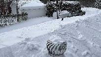 déneigement de toiture et autre - Photo 2