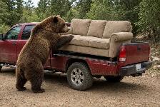 truck delivery moving furniture haul-away junk