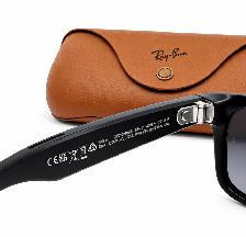 Ray-Ban Meta Wayfarer RW4006 Polarized Smart Glasses   Case - Photo 10