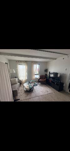 Magnifique 3 et demi, centre-ville de Montréal 1580$ - Photo 3