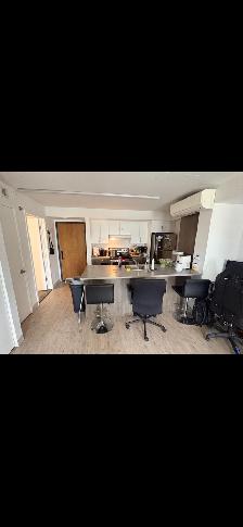 Magnifique 3 et demi, centre-ville de Montréal 1580$ - Photo 5