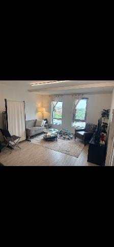 Magnifique 3 et demi, centre-ville de Montréal 1580$ - Photo 8