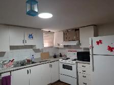 1 bedroom basement available in malton - Photo 8