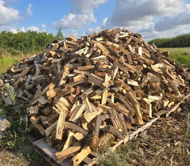 seasoned firewood
