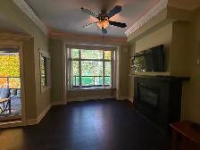 2 Bedroom Condo for Rent - Photo 16
