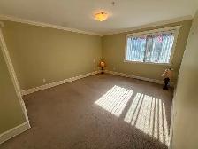 2 Bedroom Condo for Rent - Photo 18
