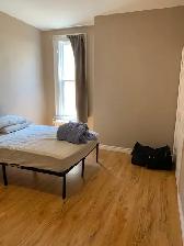 102 Carleton St #1 - 1BR Den Uptown, H&L, W/D, Updated - Photo 6