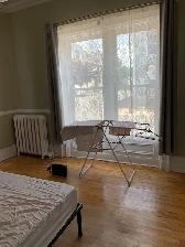 102 Carleton St #1 - 1BR Den Uptown, H&L, W/D, Updated - Photo 10