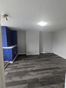 73 Mecklenburg #5 - 2BR Uptown, H/L included - Photo 3
