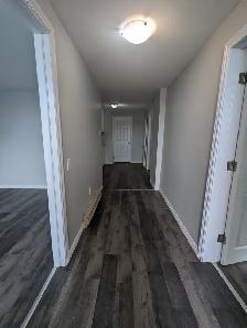 73 Mecklenburg #5 - 2BR Uptown, H/L included - Photo 4
