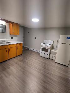 211 King Street West #8 - 1BR West, Parking, Newly Renovated - Photo 7