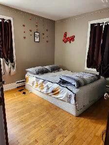 609A Main - Spacious 2BR, Heated, Parking, BLACKS HARBOUR - Photo 6