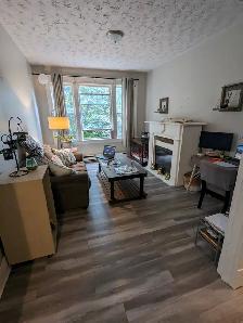 37 Victoria St #2 - 3BR North, 2nd Floor, Spacious, Storage, W/D - Photo 4