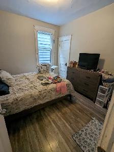 37 Victoria St #2 - 3BR North, 2nd Floor, Spacious, Storage, W/D - Photo 12
