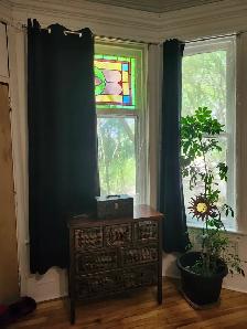 183.5 Douglas Ave - Beautiful 1BR Den North, Parking, Laundry - Photo 7