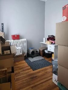 183.5 Douglas Ave - Beautiful 1BR Den North, Parking, Laundry - Photo 9