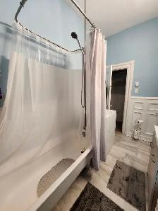 183.5 Douglas Ave - Beautiful 1BR Den North, Parking, Laundry - Photo 11