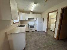 Maintenance Free Townhouse! 3 Bed 1.5 Bath in Johnstone Crossing - Photo 3