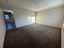 Maintenance Free Townhouse! 3 Bed 1.5 Bath in Johnstone Crossing - Photo 6