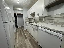 RENOVATED 1-Bedroom Apartment - SMALL PET FRIENDLY! - Photo 2