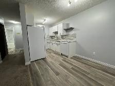 RENOVATED 1-Bedroom Apartment - SMALL PET FRIENDLY! - Photo 3