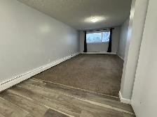 RENOVATED 1-Bedroom Apartment - SMALL PET FRIENDLY! - Photo 4