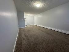RENOVATED 1-Bedroom Apartment - SMALL PET FRIENDLY! - Photo 5