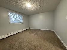 RENOVATED 1-Bedroom Apartment - SMALL PET FRIENDLY! - Photo 10