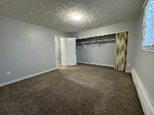 RENOVATED 1-Bedroom Apartment - SMALL PET FRIENDLY! - Photo 11
