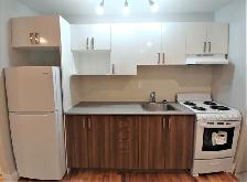 Bachelor Unit for Rent –1404 Rosenthal, Ottawa - Photo 4