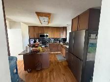 Acerage house for rent 20 acres - Photo 6