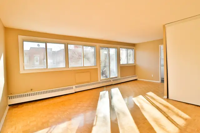 Bachelor 60 MacLaren Street - Centretown/Elgin/Bank/Downtown