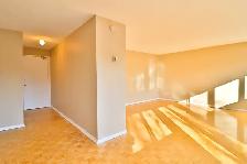 Bachelor 60 MacLaren Street - Centretown/Elgin/Bank/Downtown - Photo 2