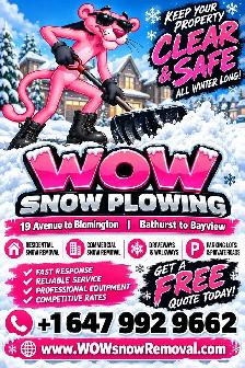 ❄️ HELLO NEIGHBOURS! WINTER IS COMING! ❄️ Snow Plowing service
