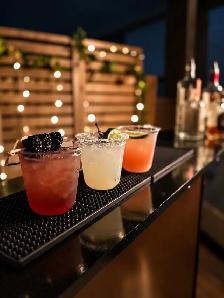 Mobile Bartender - Photo 2