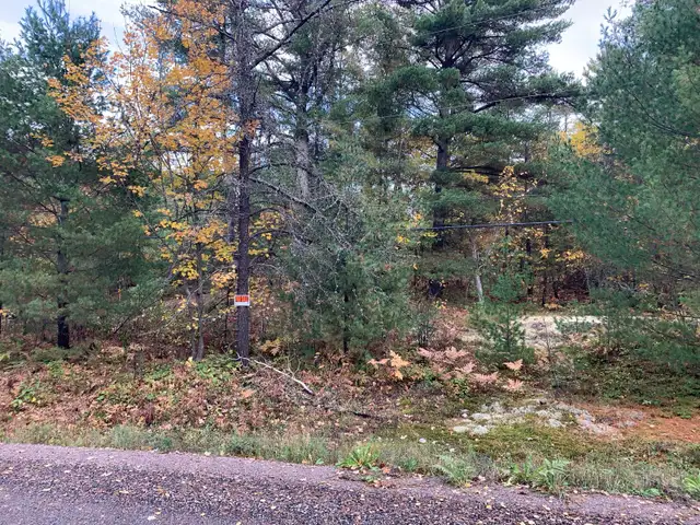 Lot for Sale - Alban (French River Area)