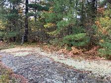 Lot for Sale - Alban (French River Area) - Photo 2