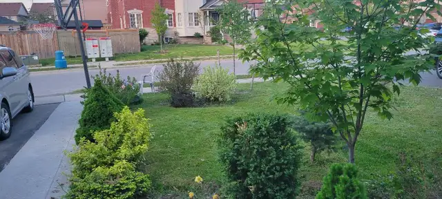 House for Rent