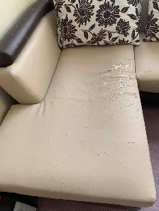Free Sofa - Photo 3