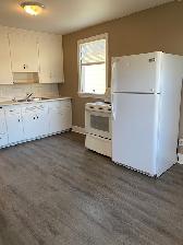 1123 Idylwyld Dr N! Whole House! Across SK Polytechnic Campus! - Photo 2